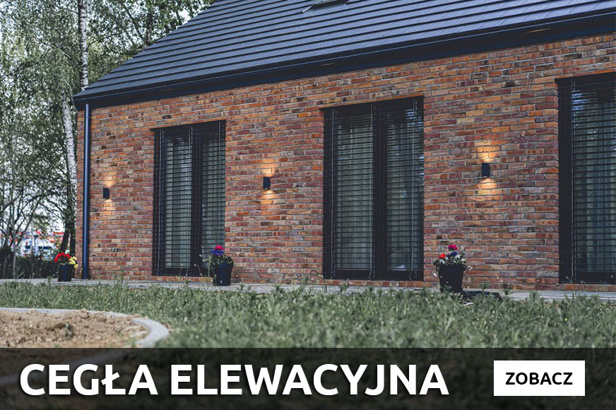 Cegła na ścianę